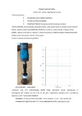 Projektas „Kas slypi „Coca-cola“ butelyje?“  6 puslapis