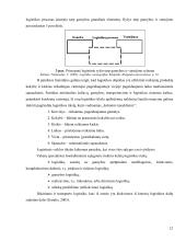Gamybos logistikos sistemos valdymas UAB „Jornas“ pavyzdžiu  13 puslapis