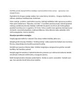 Konfliktinės situacijos aprašymas ir analizė 2 puslapis