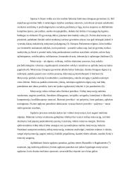 Mokinių motyvacijos skatinimas fizinio ugdymo pamokose 3 puslapis