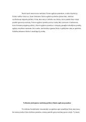 Mokinių motyvacijos skatinimas fizinio ugdymo pamokose 4 puslapis