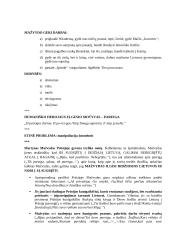 J. Marcinkevičiaus dramos "Mažvydas" konspektas 4 puslapis