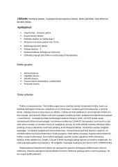 Korporatyvinio tinklo projektavimas 2 puslapis