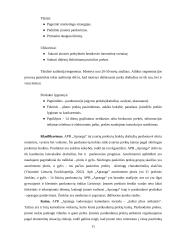 APB „Aprangos” analizė 10 puslapis