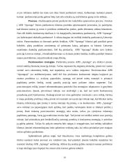 APB „Aprangos” analizė 13 puslapis