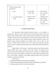APB „Aprangos” analizė 19 puslapis