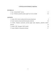 APB „Aprangos” analizė 2 puslapis