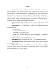 APB „Aprangos” analizė 3 puslapis