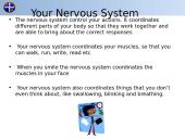 Nervous & Endocrine Systems 4 puslapis
