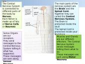 Nervous & Endocrine Systems 5 puslapis