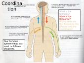 Nervous & Endocrine Systems 7 puslapis