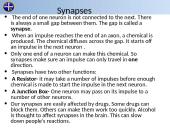 Nervous & Endocrine Systems 8 puslapis