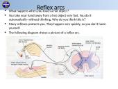 Nervous & Endocrine Systems 9 puslapis