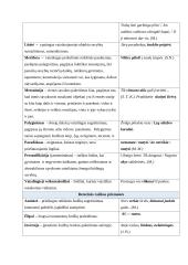 Kalbinės raiškos priemonės 2 puslapis