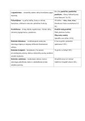 Kalbinės raiškos priemonės 3 puslapis