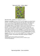 Augalų aprašymas 3 puslapis