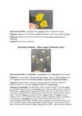 Augalų aprašymas 4 puslapis