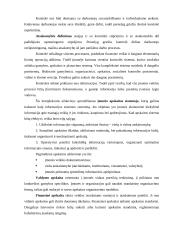 UAB „Čilija“ veiklos analizė - vadybos aspektas 11 puslapis