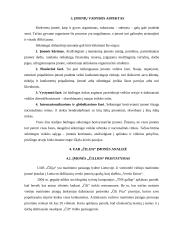 UAB „Čilija“ veiklos analizė - vadybos aspektas 12 puslapis