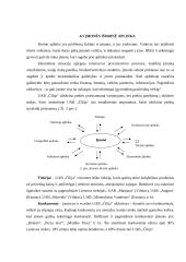 UAB „Čilija“ veiklos analizė - vadybos aspektas 18 puslapis