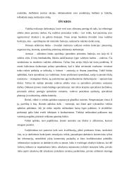 UAB „Čilija“ veiklos analizė - vadybos aspektas 20 puslapis
