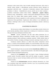 UAB „Čilija“ veiklos analizė - vadybos aspektas 10 puslapis