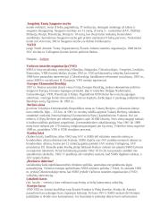 Istorijos sąvokos 19 puslapis