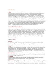 Istorijos sąvokos 3 puslapis