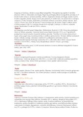 Istorijos sąvokos 4 puslapis