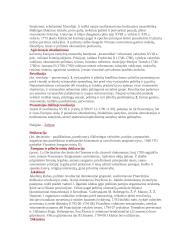 Istorijos sąvokos 7 puslapis