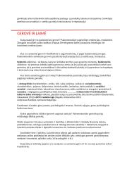 Darnus vystymasis (konspektas) 6 puslapis