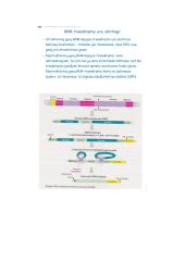 Nukleorūgščių ir baltymų molekulinė struktūra DNR, RNR ir baltymų biosintezė 20 puslapis