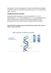 Nukleorūgščių ir baltymų molekulinė struktūra DNR, RNR ir baltymų biosintezė 6 puslapis