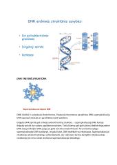 Nukleorūgščių ir baltymų molekulinė struktūra DNR, RNR ir baltymų biosintezė 7 puslapis