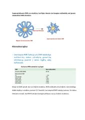 Nukleorūgščių ir baltymų molekulinė struktūra DNR, RNR ir baltymų biosintezė 8 puslapis
