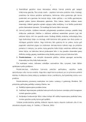 Lietuvos užsienio prekybos rodikliai 7 puslapis