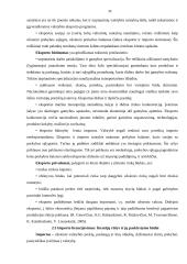 Lietuvos užsienio prekybos rodikliai 10 puslapis