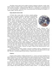 Lietuvos žemės gelmės 2 puslapis