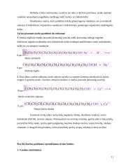 Muilo gamyba šaltuoju būdu 11 puslapis