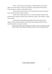 Muilo gamyba šaltuoju būdu 13 puslapis