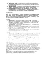 Verslo organizavimo formos - aprašymas 2 puslapis