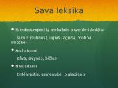 Kalba – gyvas organizmas skaidrės 3 puslapis