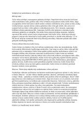 Baudžiamosios teisės subjektyvioji pusė