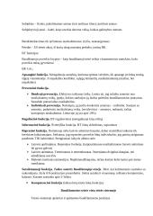 Baudžiamosios teisės subjektyvioji pusė 3 puslapis