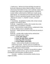 Muzikos istorijos egzamino pasiruošimui 3 puslapis