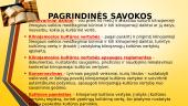 Kultūros paveldas Lietuvoje 11 puslapis