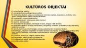 Kultūros paveldas Lietuvoje 12 puslapis