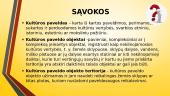 Kultūros paveldas Lietuvoje 3 puslapis
