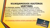 Kultūros paveldas Lietuvoje 10 puslapis