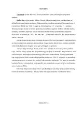 Prasmingos informacijos įsiminimas 3 puslapis